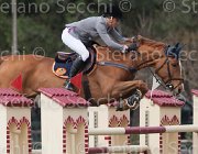 Hamood Eternal Flame TosTour 2013- S4 6623 : Arezzo Equestrian Centre, Eternal Flame, Hamood Olivia, Toscana Tour 2013, foto di Stefano Secchi ©